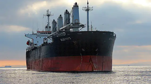  Bulk Tramp and Cargo shipping Tunisia